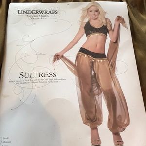 Harem dancer costume.